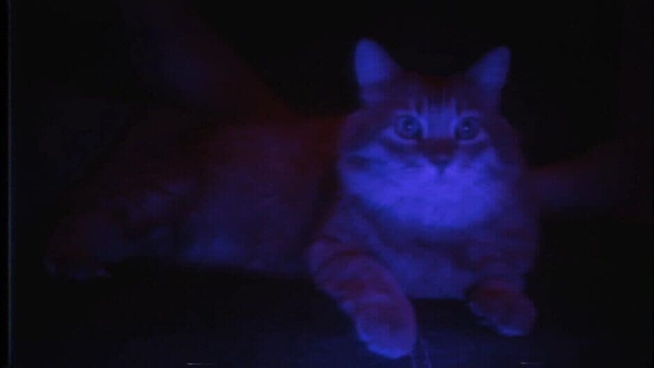 Puss! - Captura 23