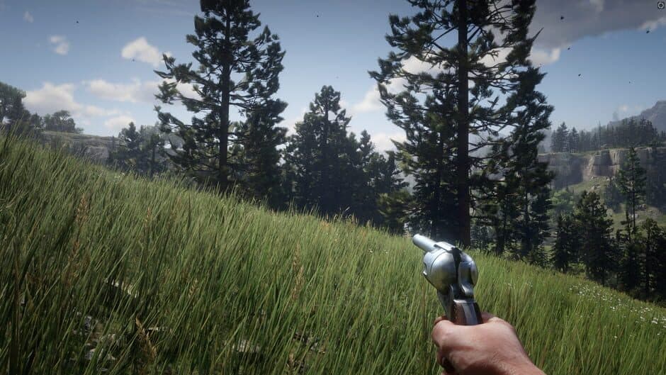 Red Dead Redemption 2 - Captura 19