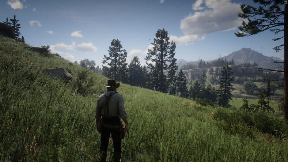 Red Dead Redemption 2 - Captura 20