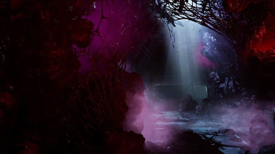 Directive 8020 - Captura 12