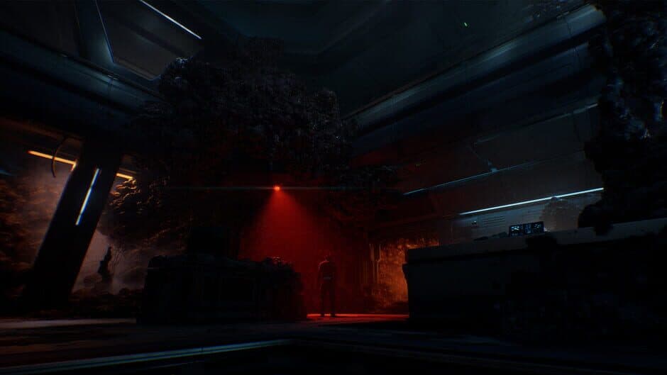 Directive 8020 - Captura 13