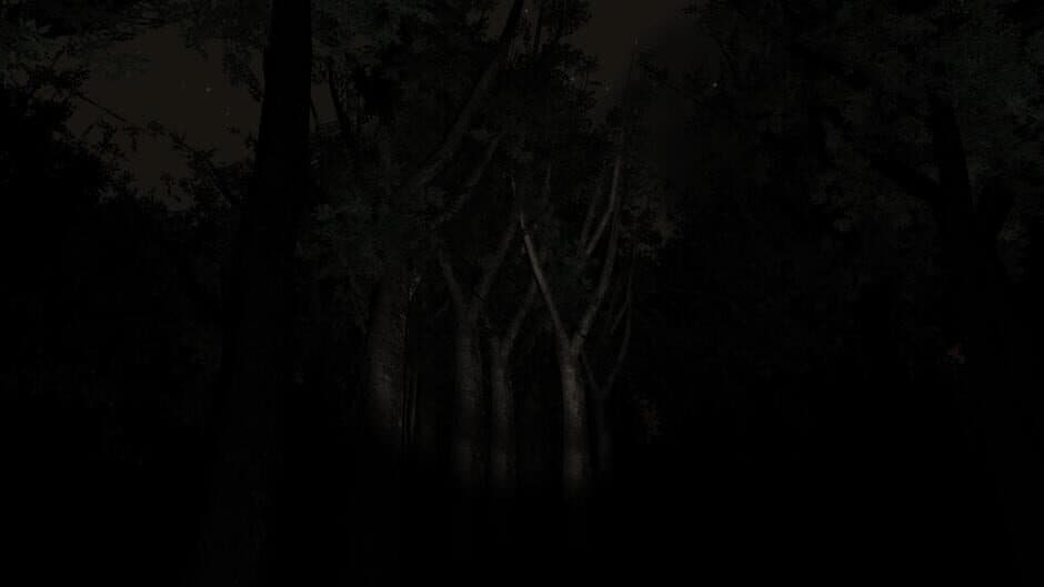 Slender: The Eight Pages - Captura 10