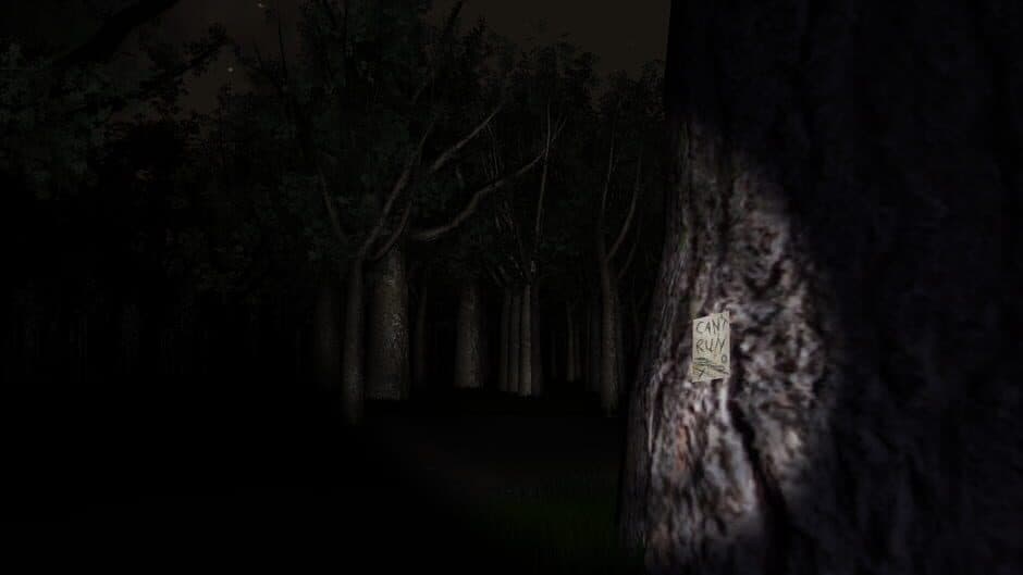 Slender: The Eight Pages - Captura 3