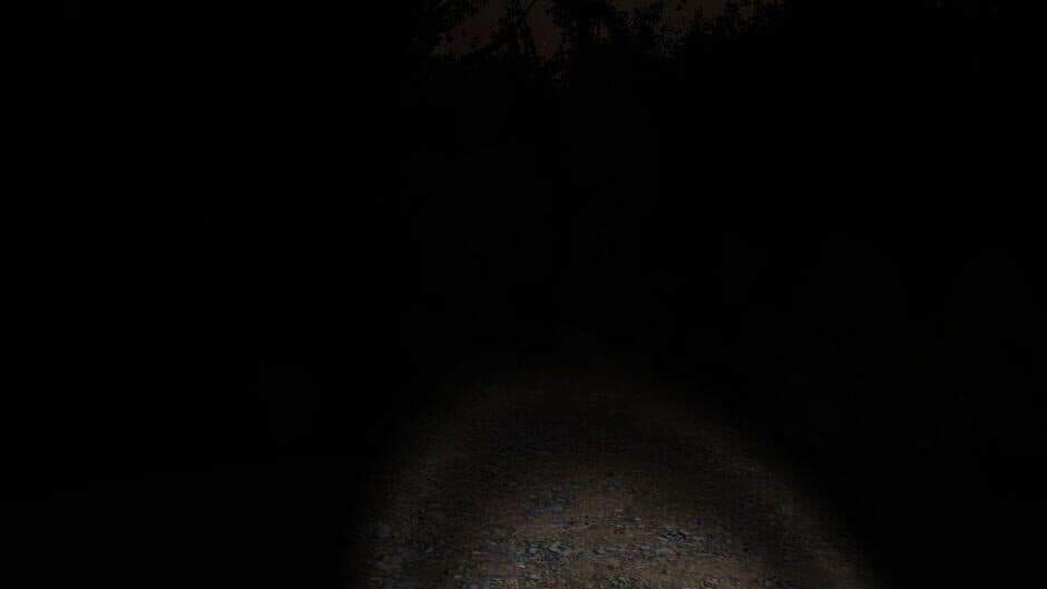 Slender: The Eight Pages - Captura 4