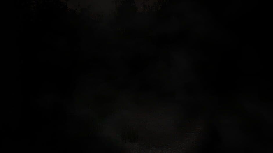 Slender: The Eight Pages - Captura 17