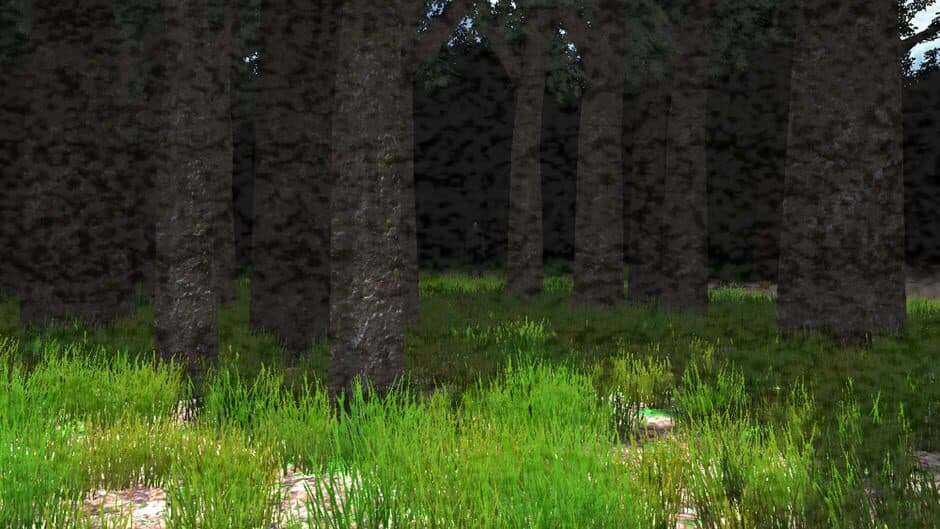 Slender: The Eight Pages - Captura 15