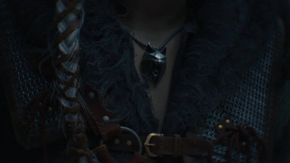 The Witcher IV - Captura 4