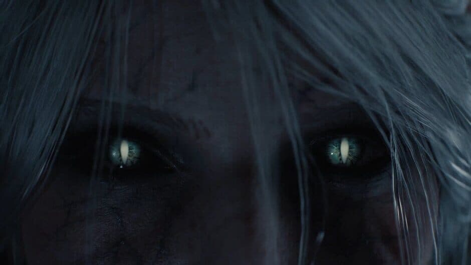 The Witcher IV - Captura 5