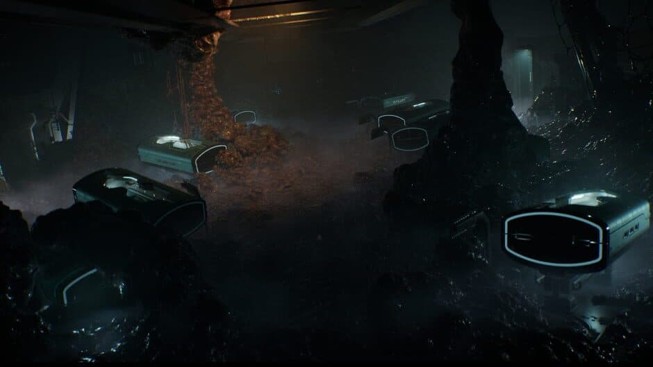 Directive 8020 - Captura 17