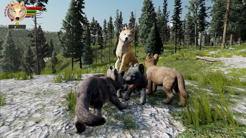WolfQuest: Anniversary Edition - Captura 11
