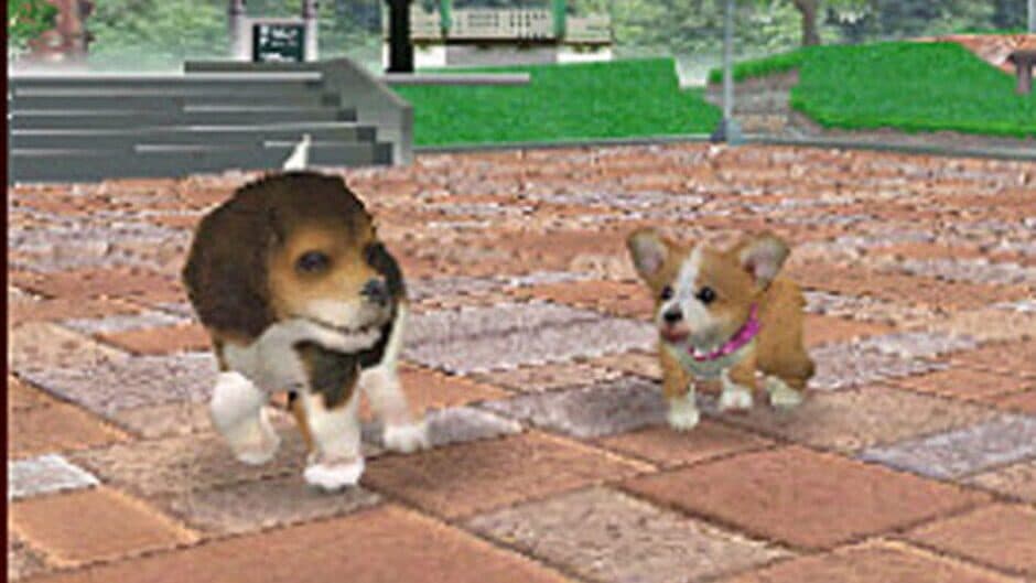 Nintendogs: Dalmatian & Friends - Captura 2