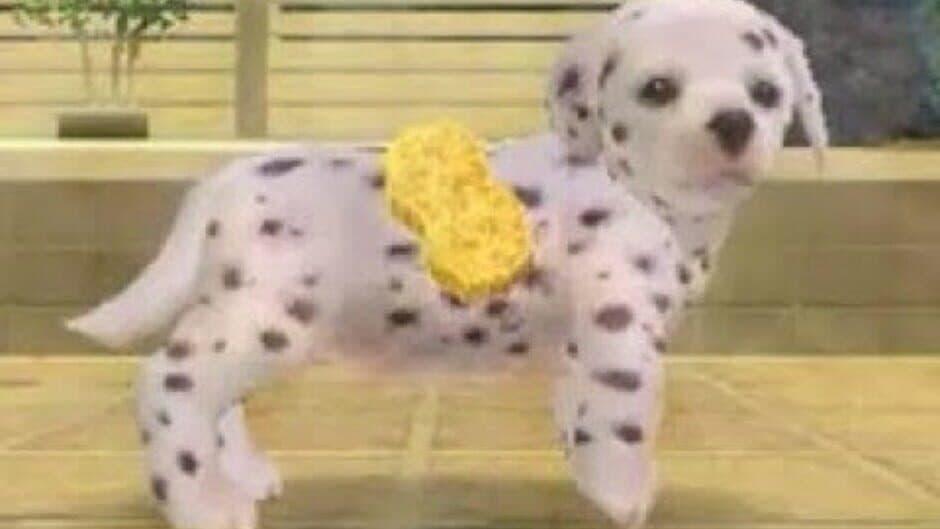 Nintendogs: Dalmatian & Friends - Captura 6
