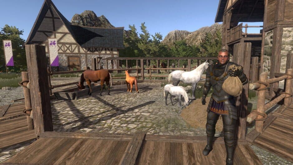 Medieval Horse Dealer Simulator - Captura 2