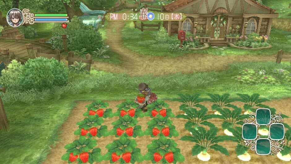 Rune Factory Frontier - Captura 6