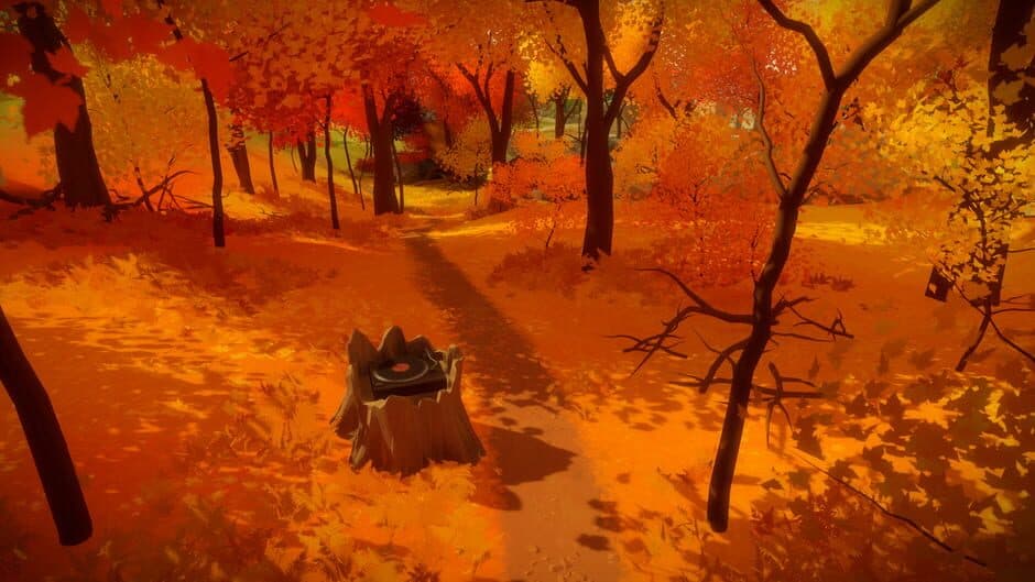 The Witness - Captura 11