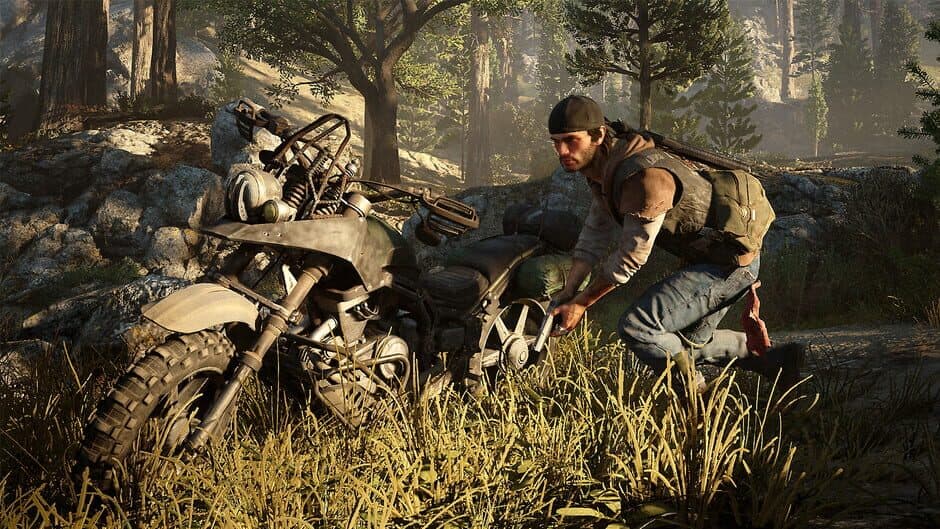 Days Gone - Captura 20
