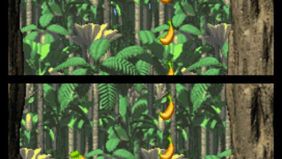 DK: Jungle Climber - Captura 10