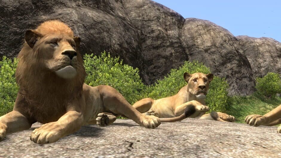 Afrika - Captura 2