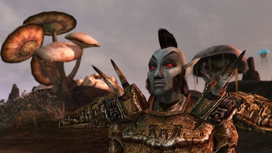 The Elder Scrolls III: Morrowind - Captura 13