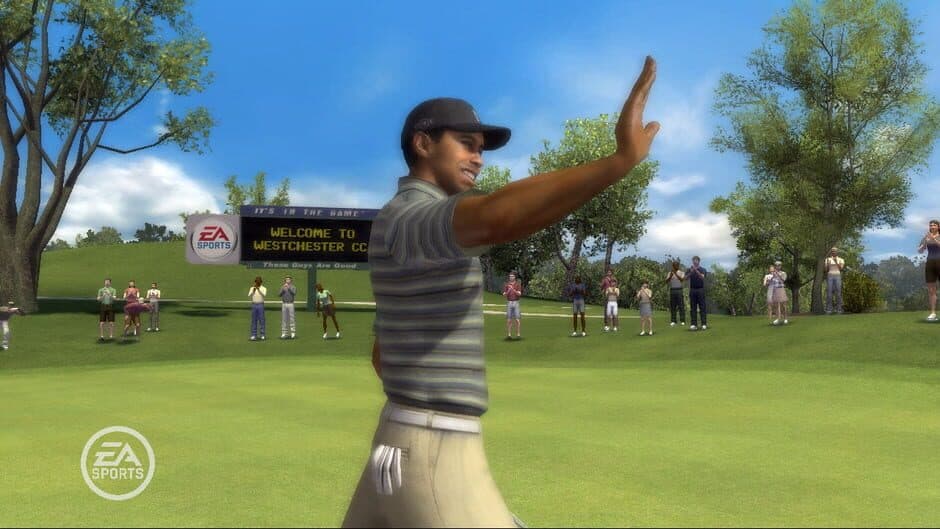 Tiger Woods PGA Tour 08 - Captura 3