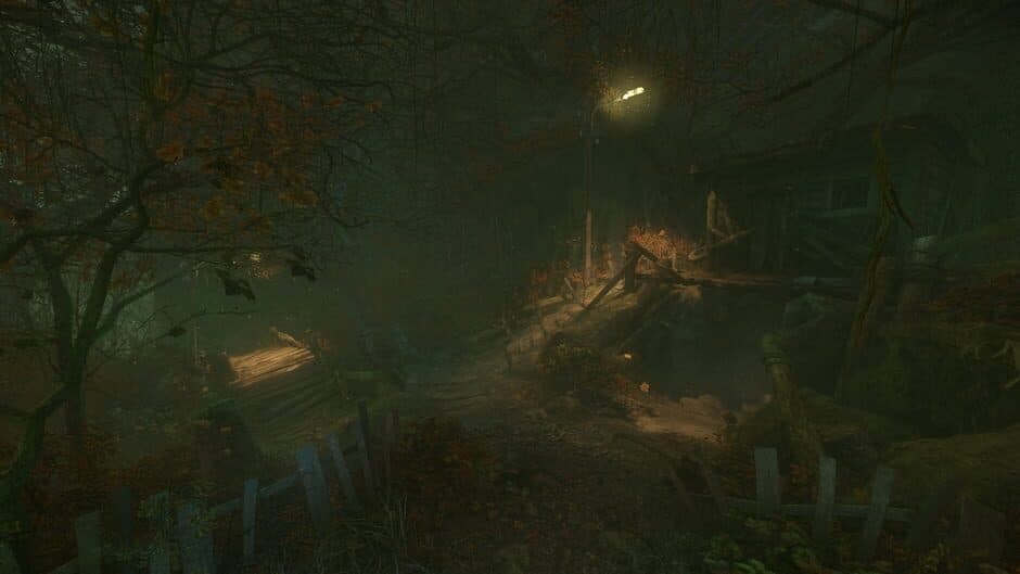 The Cursed Forest - Captura 2