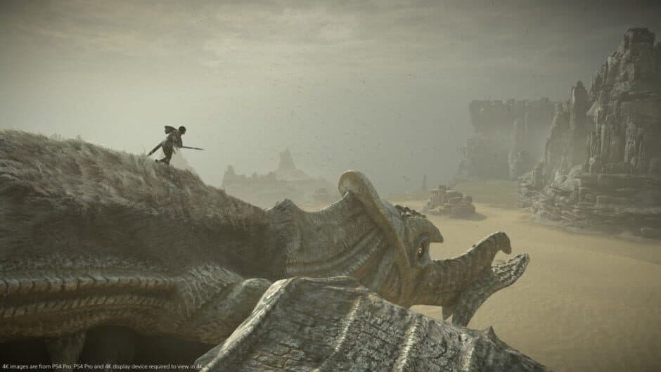 Shadow of the Colossus - Captura 10
