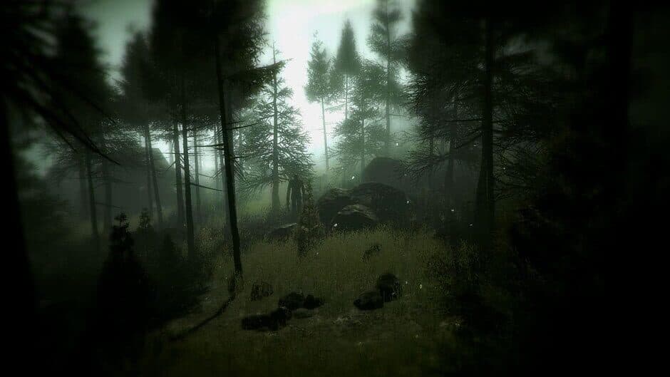Slender: The Arrival - Captura 3