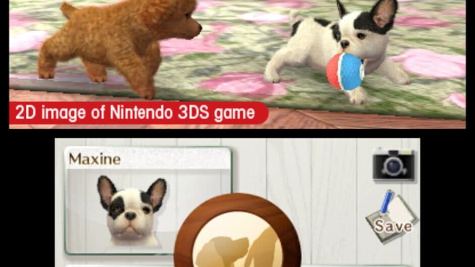 Nintendogs + Cats: French Bulldog & New Friends - Captura 6