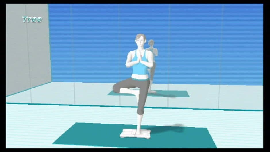Wii Fit - Captura 12