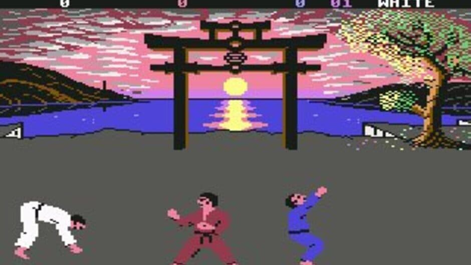International Karate + - Captura 3