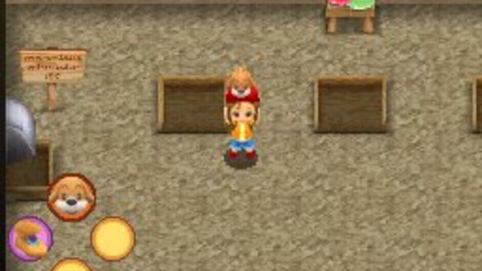 Harvest Moon DS: Sunshine Islands - Captura 5