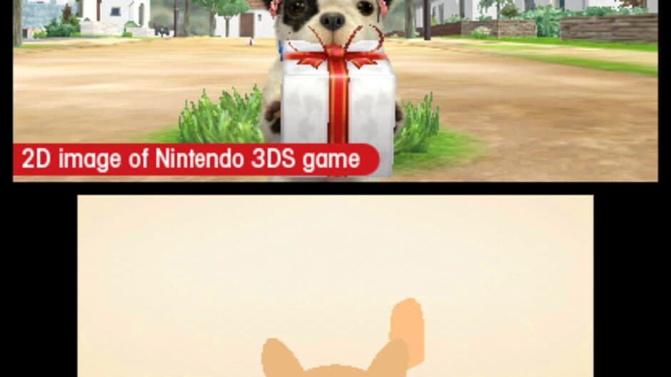 Nintendogs + Cats: French Bulldog & New Friends - Captura 2