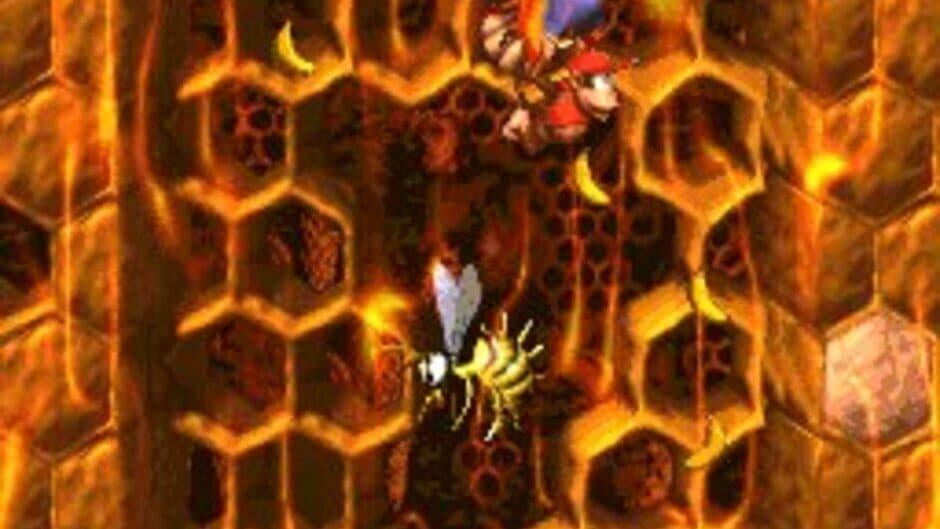 Donkey Kong Country 2: Diddy's Kong Quest - Captura 10