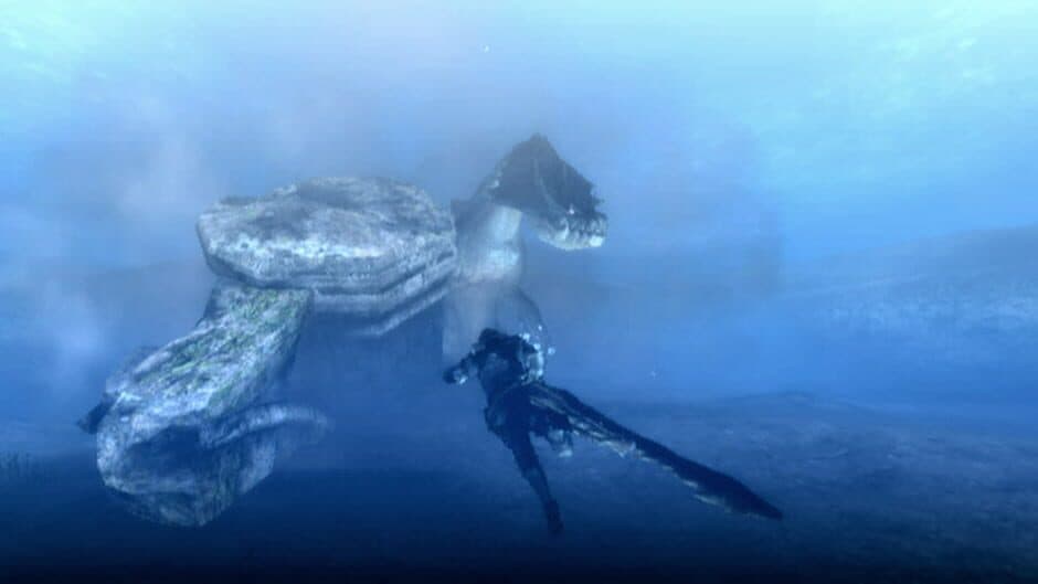Monster Hunter Tri - Captura 12