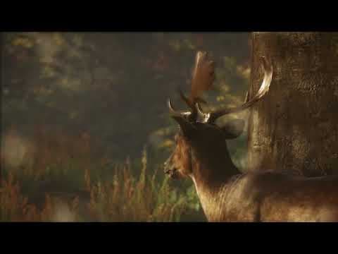 Trailer 2