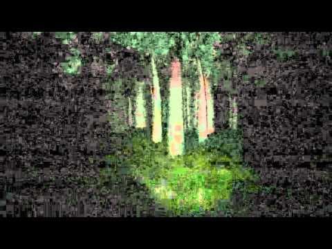Trailer 2