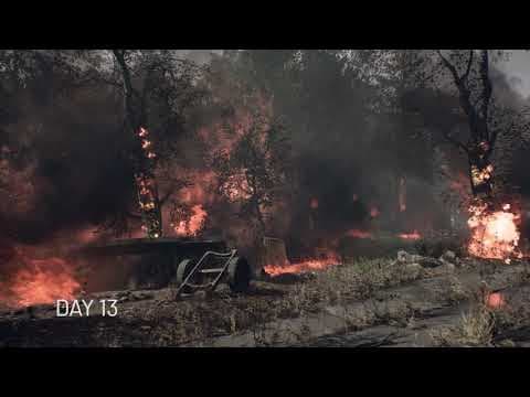 Trailer 5
