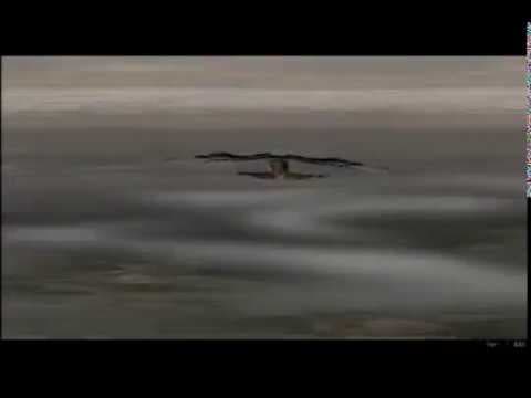 Trailer 1