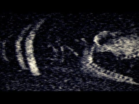 Trailer 1