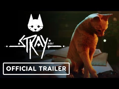 Trailer 5