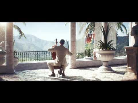 Trailer 8