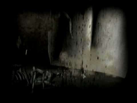 Trailer 7