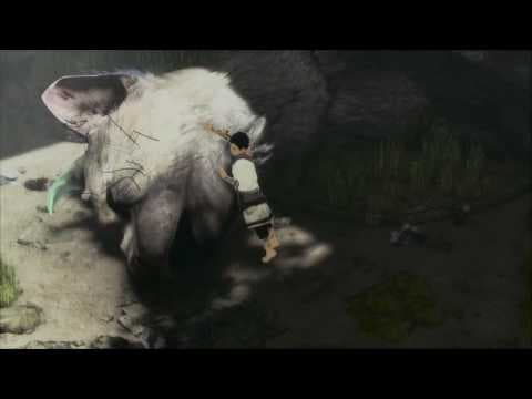 Trailer 4
