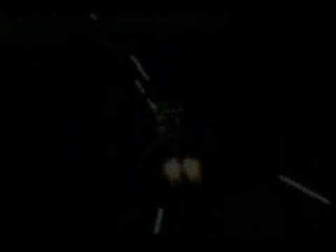 Trailer 1