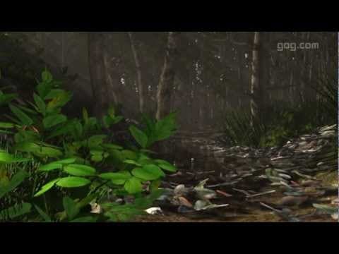 Trailer 1