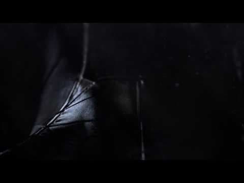 Trailer 1