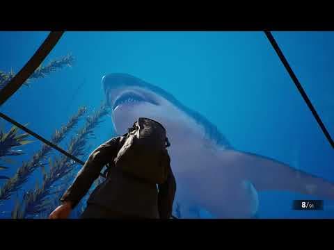 Trailer 1