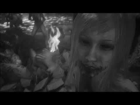 Trailer 4