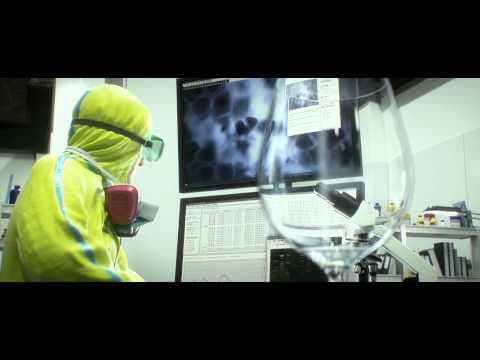 Trailer 12