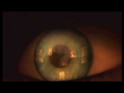 Trailer 1